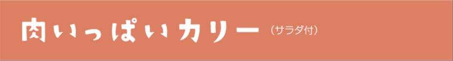 肉いっぱいカリー(サラダ付き)