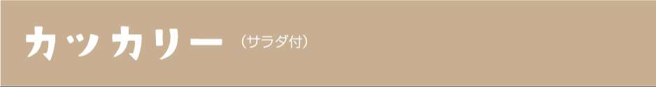 カツカリー(サラダ付き)